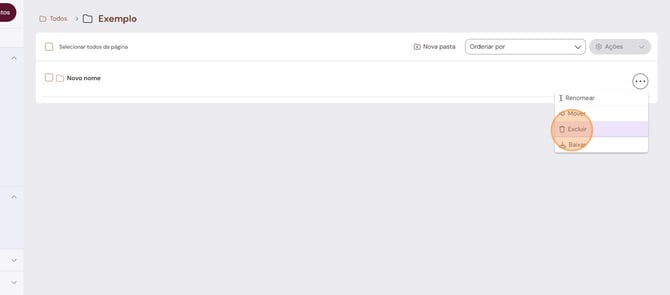 organizacao-de-documentos-e-pastas-excluir-01