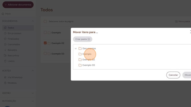 organizacao-de-documentos-e-pastas-mover-03