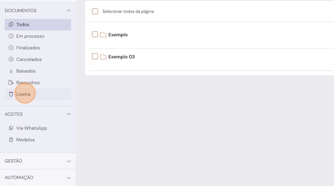 organizacao-de-documentos-e-pastas-restaurar-01