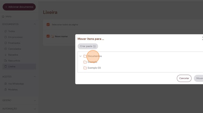 organizacao-de-documentos-e-pastas-restaurar-04